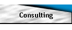 Consulting